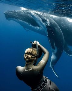 a woman in a wet suit is swimming with a whale