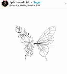 a drawing of a butterfly with leaves on it's wings and the words, tattoo official sequir salvador, bahi, brasil - bssa