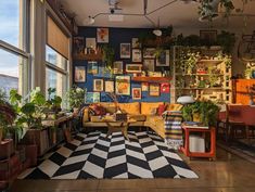 a living room filled with lots of plants and furniture next to large windows on the wall