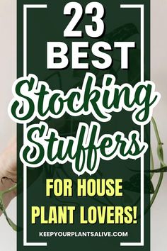 the 25 best stocking stuff for house plant lovers is on display in this postcard