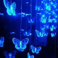 some blue lights that have butterflies on them