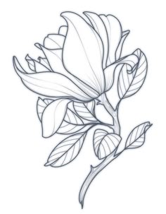 Flower Black Tattoo, 16 Tattoo, Tattoo Plant, Cute Tattoo, Tattoo Zeichnungen, Muster Tattoos, Tattoo Stencil Outline, Floral Tattoo Design