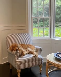 a dog laying on a chair in front of a window