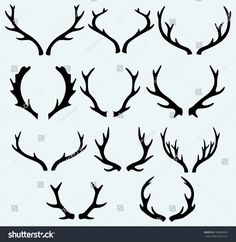 the silhouettes of deer's antlers