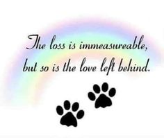 the loss is imensurable, but so is the love left behind paw prints