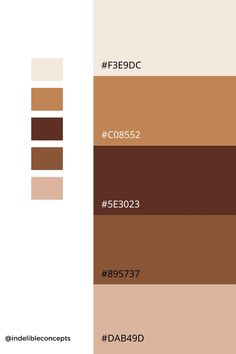 the color scheme for different shades of brown