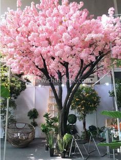 a large pink tree with lots of flowers in the middle of an indoor garden area