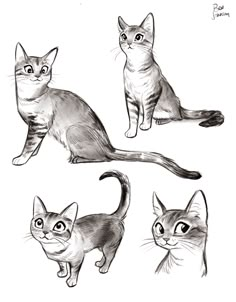 four cats are shown in black and white