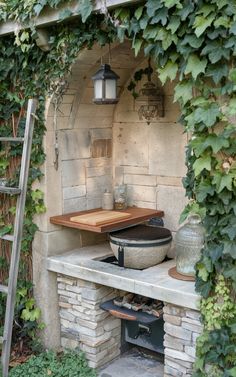 an outdoor oven with a potted plant growing over it