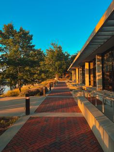 an empty sidewalk lined with benches next to trees