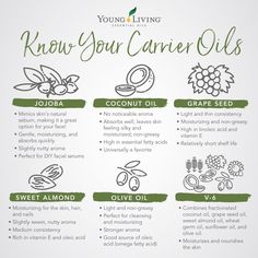 Carrier Oils For Hair, Essential Oil Perfumes Recipes, Oils For Hair, Roller Blends, Essential Oil Carrier Oils, Essential Oils Health