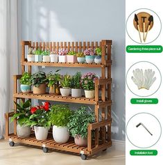 a wooden rack with potted plants and gardening utensils