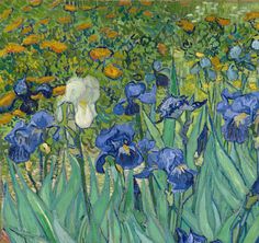 a painting of blue and white irises in a field with yellow flowers on it