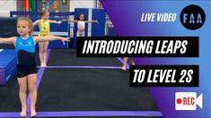 Gymnastics Girls, Live Video, Gym