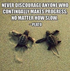 Never discourage anyone who continually makes progress Learning Quotes Education, Slow Quotes, Special Education Quotes, Team Building Quotes, Future Quotes, Team Quotes, Go For It Quotes, Sport Quotes, Learning Quotes