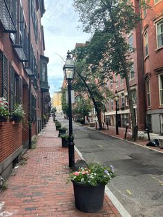 an empty street lined with brick buildings and flowers in the planter on the sidewalk