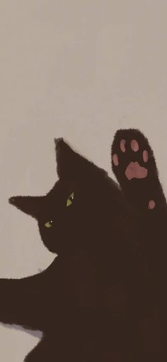 a black cat with green eyes and paws