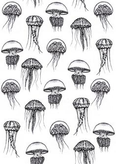 many jellyfishs are shown in black and white ink on paper, each with different shapes