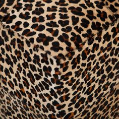 an animal print pattern is shown on the back of a leopard - print chair cover