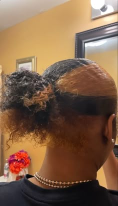 Peakaboo Dye Natural Hair, Skunk Dye, 4c Natural Hairstyles Short, Hair Stripes, Skunk Stripe, Hair 4c, Girl Hair Colors, Peekaboo Hair, Brown Curly Hair