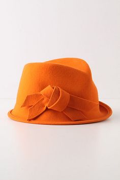 orange fedora Orange Stuff, Orange Things, Orange Hat, The Color Orange, Orange Hats, Orange You Glad, Orange Aesthetic, Colors Orange