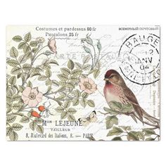 a postcard with a bird and flowers on it