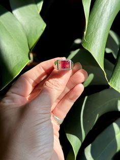 hand-carved and cast sterling silver ring with deeply saturated fuschia and gold tourmaline. Size: 7 Tourmaline Ring, Sterling Silver Ring, Pink And Gold, Tourmaline, Silver Ring, Sterling Silver Rings, Hand Carved, Silver Rings, Carving