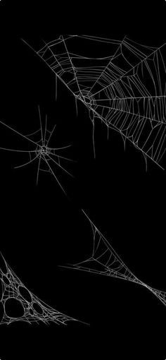 three spider webs on a black background with white lines in the bottom right corner