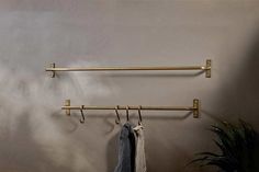 two coats hanging from hooks on a wall next to a potted plant and towel rack