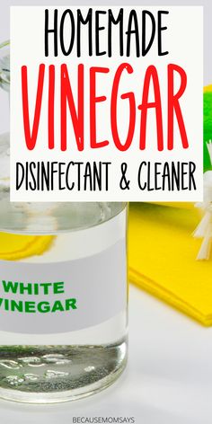 homemade vinegar disinfectant and cleaner