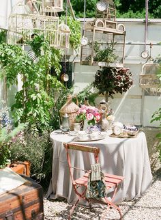 a table that has some plants on it in the middle of a room with lots of potted plants