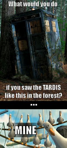 the tardish is in the forest and it looks like they are talking to each other