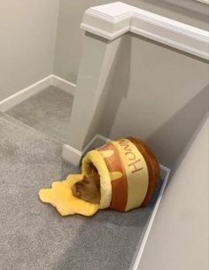 a dog is laying on the floor with his head in a toy barrel that looks like a hot dog