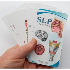 SLP Anatomy Pocket Chart Brain, mouth, larynx, swallowing, vocal folds and vocal pathologies Covers speech, voice, respiration, swallowing Perfect group of images for anyone in the SLP field Fits in a typical shirt pocket, cell phone size! Basic Anatomy education for any setting Anatomy Education, Pocket Charts, Phonological Processes, Vocal Lessons, Speech Therapy Materials