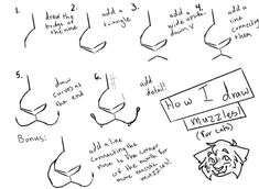 the instructions for how to draw an animal's head with different angles and sizes