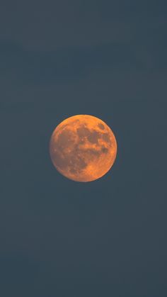 the full moon is seen in the sky