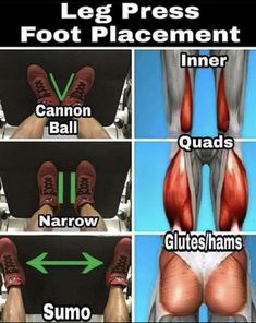 the legs and feet are shown with different muscles