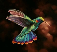 a colorful bird flying through the air