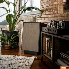 a plant is sitting next to an amplifier on a table in front of a brick wall