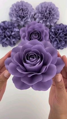 two hands holding purple paper flowers in front of white background