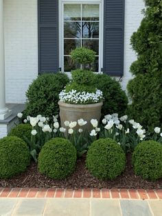 a potted planter filled with white flowers next to a brick walkway and shrubbery