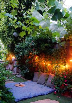 a garden with lots of plants and lights on the walls, in front of a house