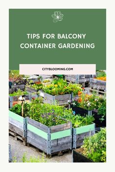 Guide to balcony container gardening with vibrant plants in wooden boxes. Visit cityblooming.com for more tips. Diy Container, Diy Container Gardening