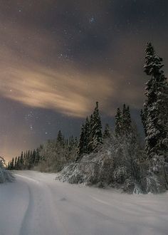 the night sky is filled with stars and clouds above snow - covered pine trees, as seen from a snowy road