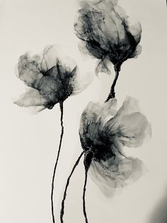 three black and white flowers on a white background