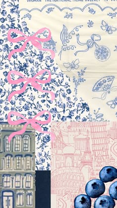 a collage of blueberries and buildings with pink writing on them that says women's international movement against poverty