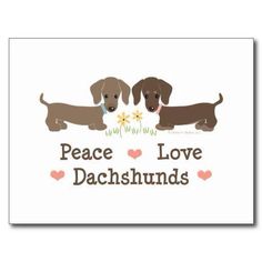 two dachshunds standing next to each other with the words peace love dachshunds