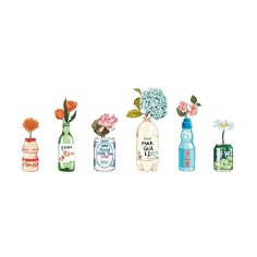 six bottles with flowers in them are lined up on a white background, one is empty