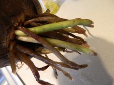 some brown and green vegetables on a white table