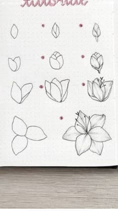 an open notebook with flowers and leaves drawn on it